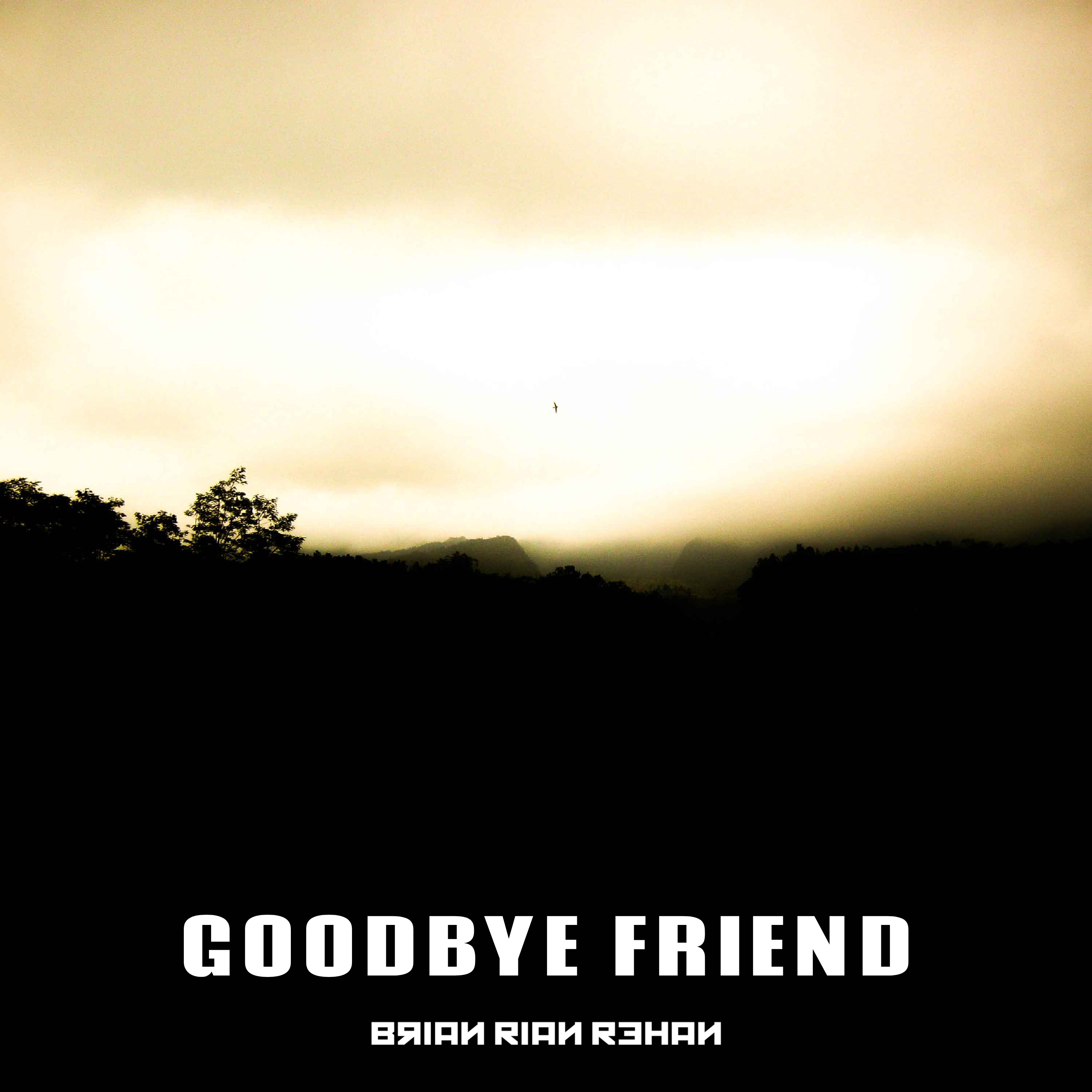 Goodbye Friend